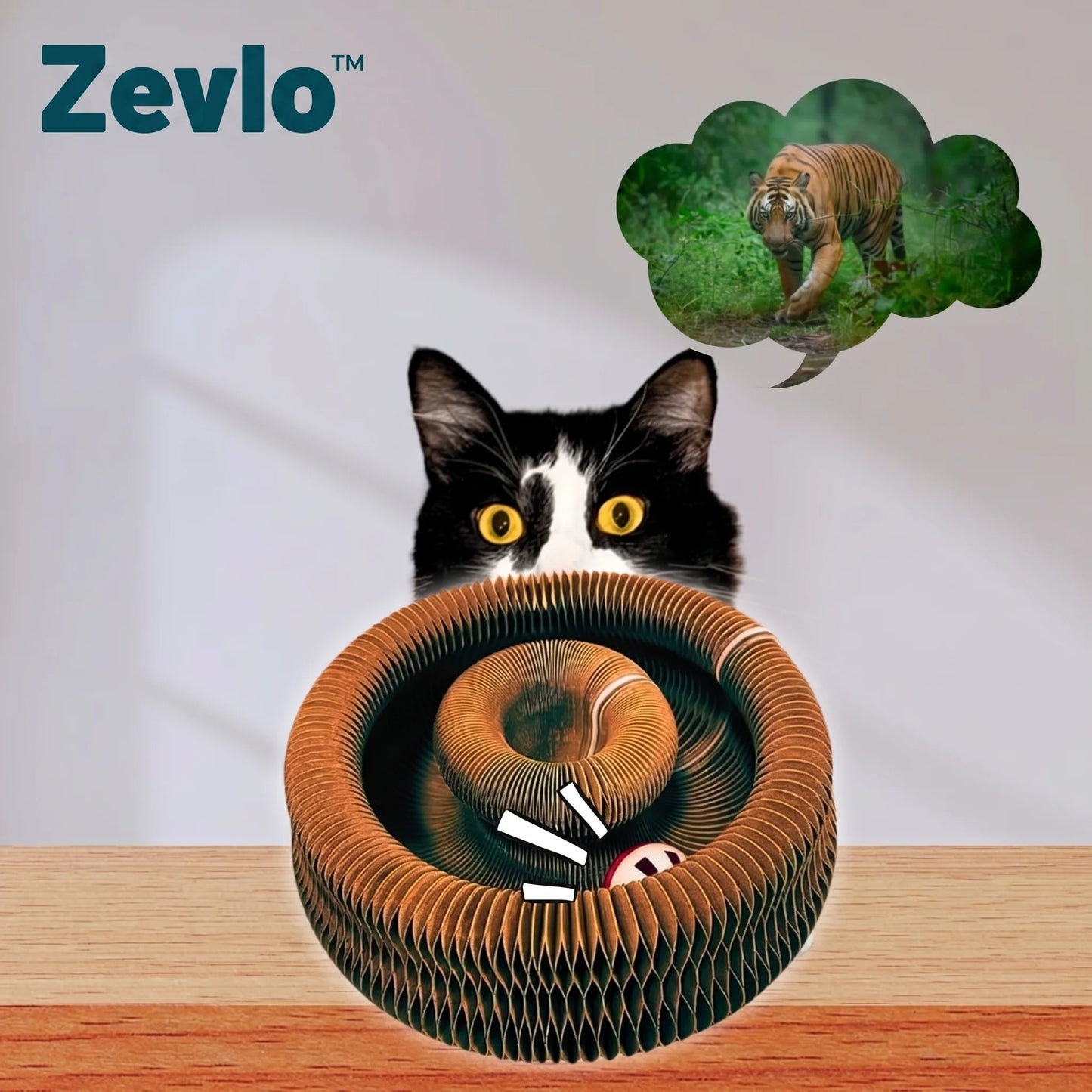 Accordéon Interactif Zevlo™