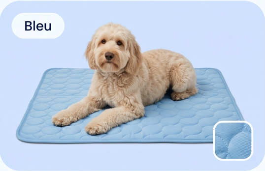 Cool'Pattes™ Tapis Rafraichissant