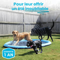 Le Splash Dog™