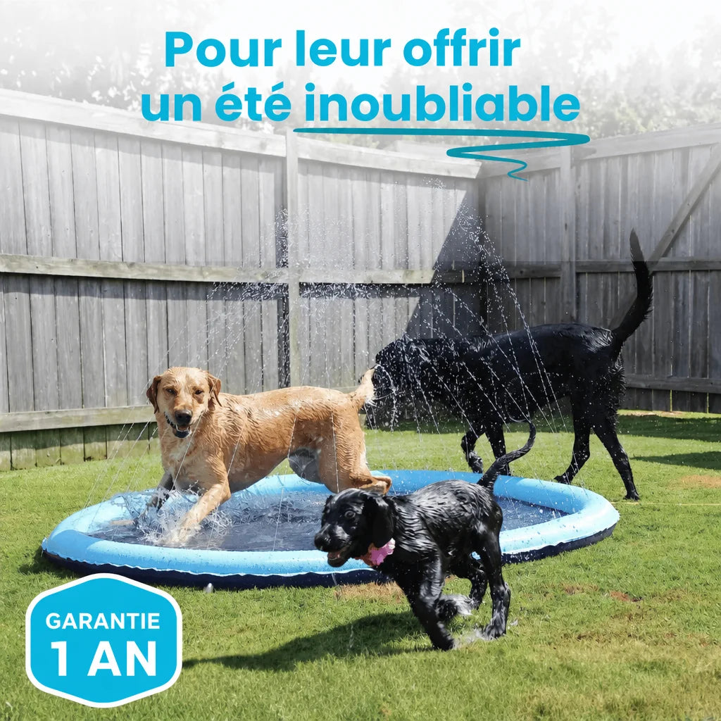 Le Splash Dog™