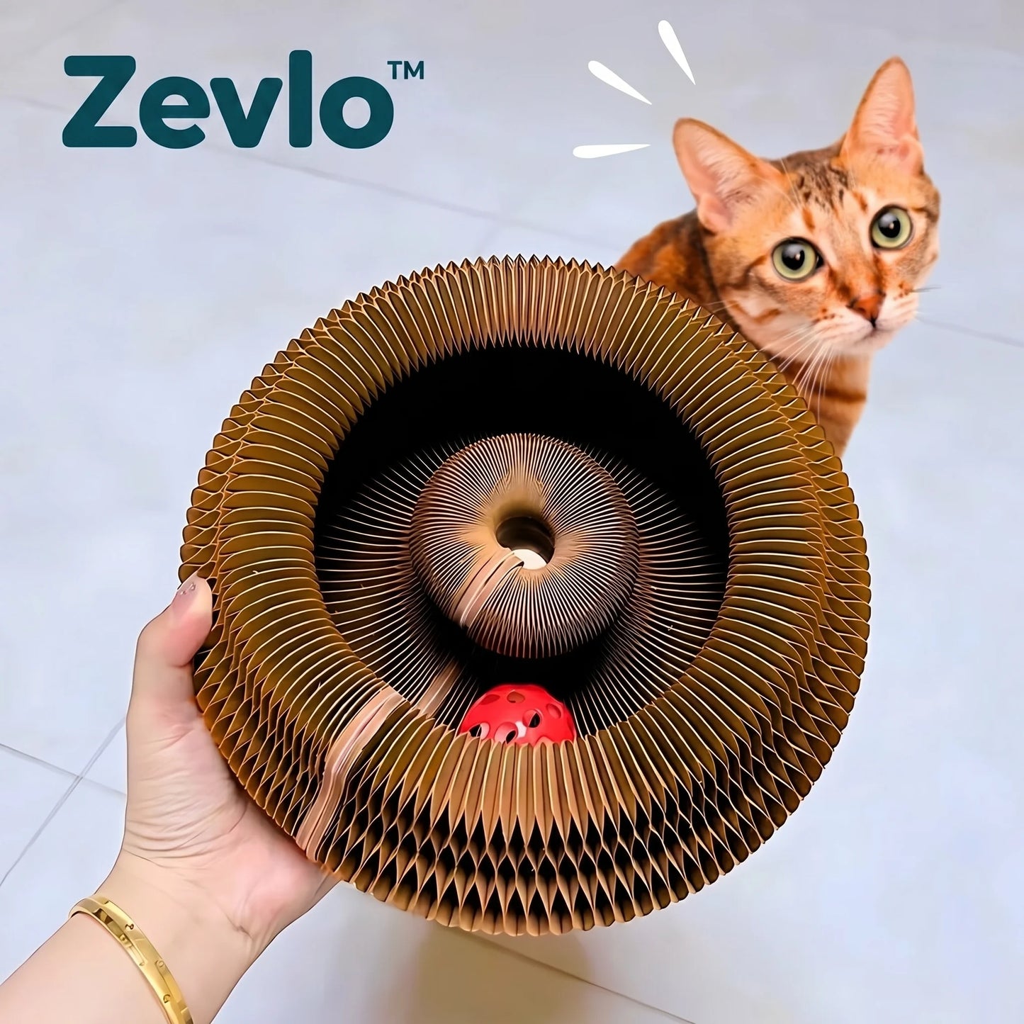 Accordéon Interactif Zevlo™