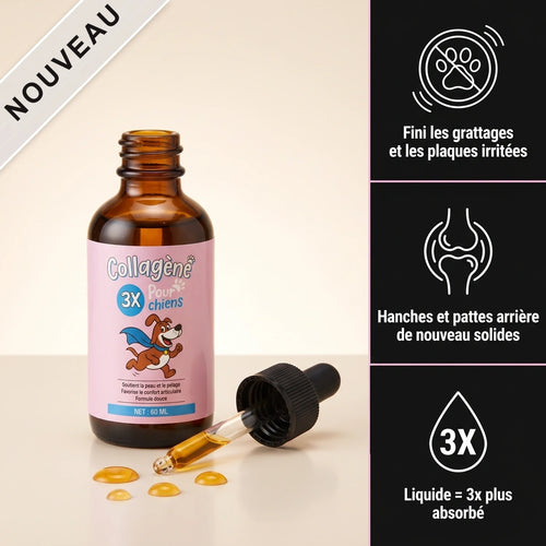 2 Collagène Liquide Premium pour Chiens – Zevlo™