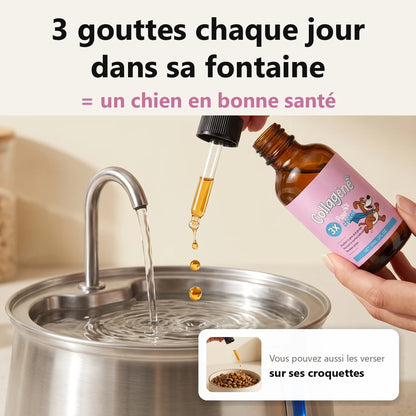 4 Collagène Liquide Premium pour Chiens – Zevlo™