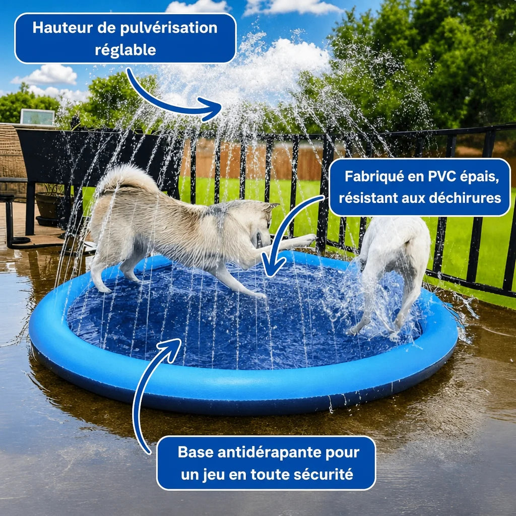Le Splash Dog™