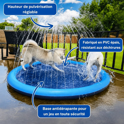 Le Splash Dog™