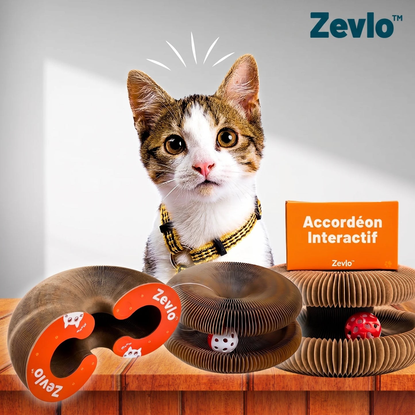Accordéon Interactif Zevlo™