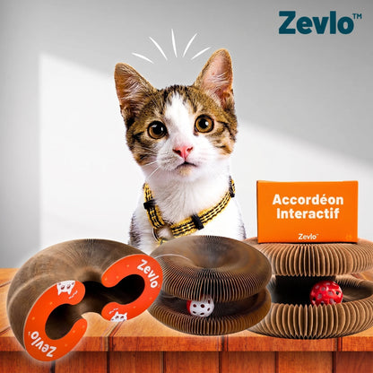 Accordéon Interactif Zevlo™