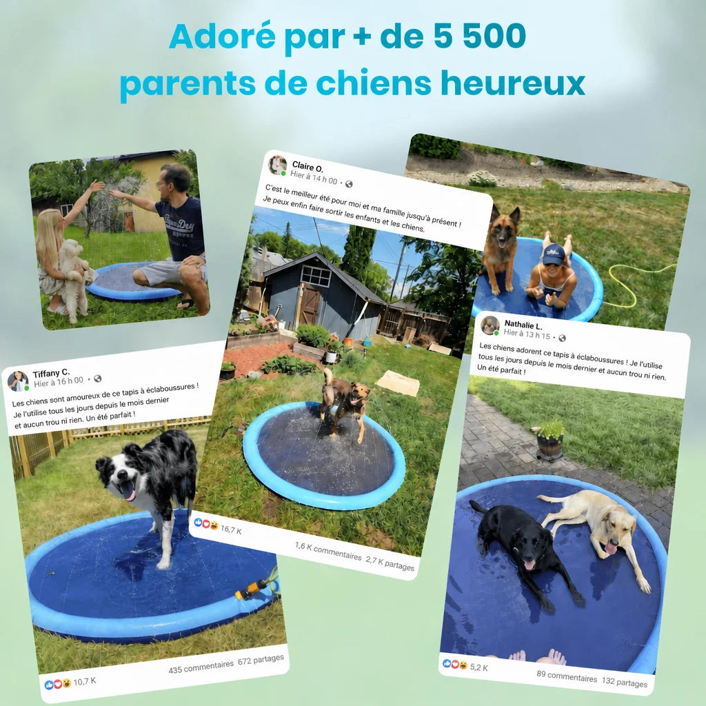 Le Splash Dog™