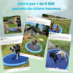 Le Splash Dog™