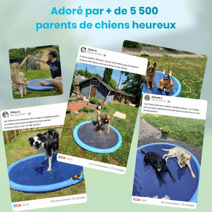 Le Splash Dog™