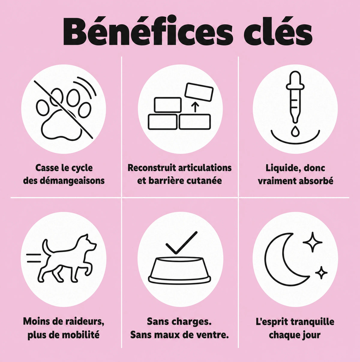 6 Collagène Liquide Premium pour Chiens – Zevlo™