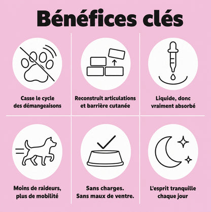 4 Collagène Liquide Premium pour Chiens – Zevlo™