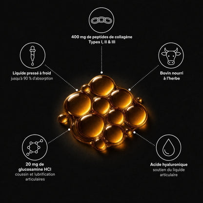 6 Collagène Liquide Premium pour Chiens – Zevlo™
