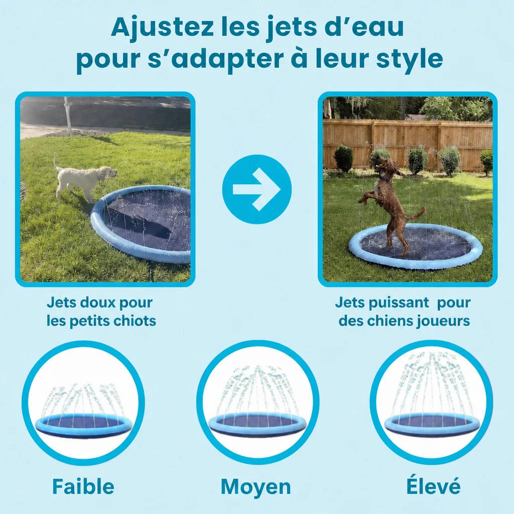 Le Splash Dog™