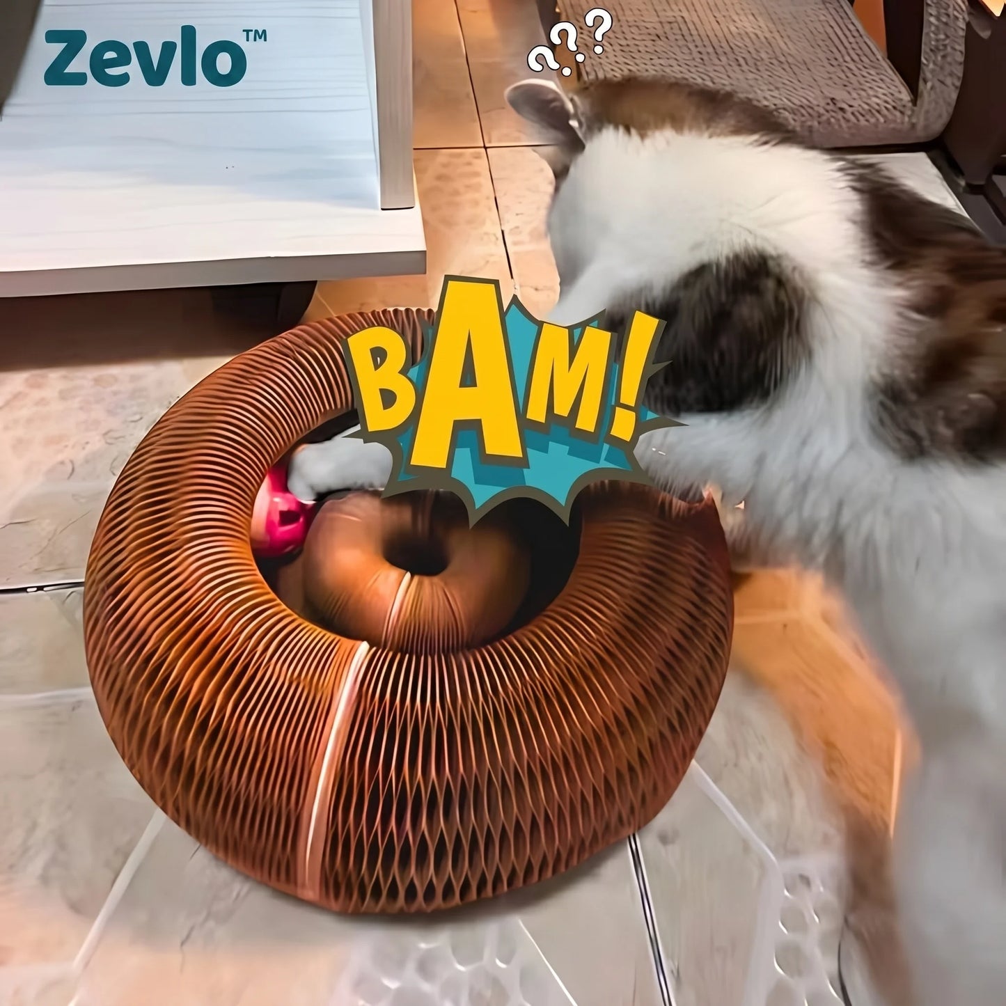 Accordéon Interactif Zevlo™