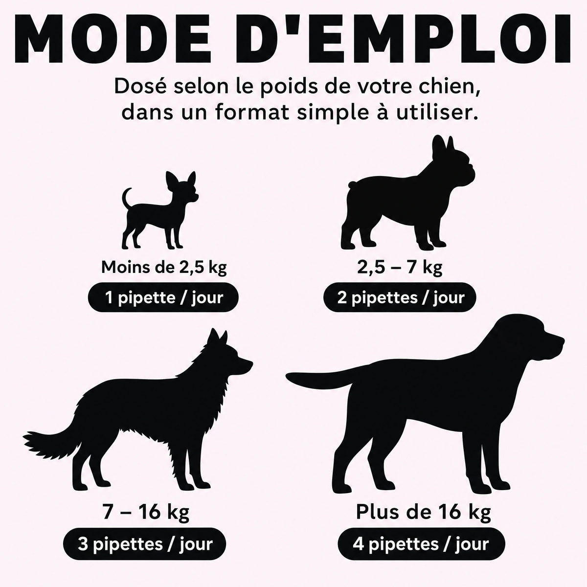 4 Collagène Liquide Premium pour Chiens – Zevlo™