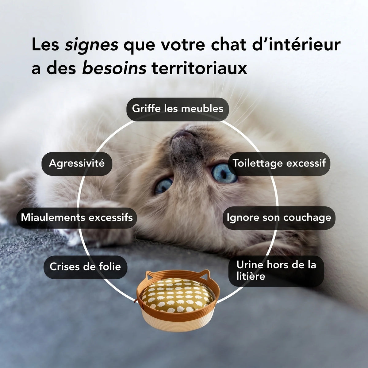 Le Panier Naturel Zevlo™