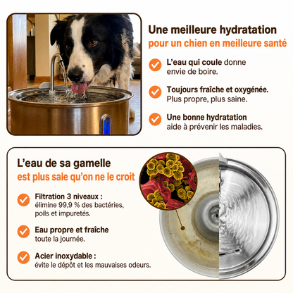 Zevlo Dog Pure™