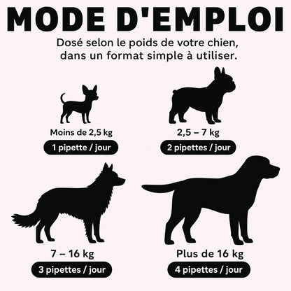 6 Collagène Liquide Premium pour Chiens – Zevlo™