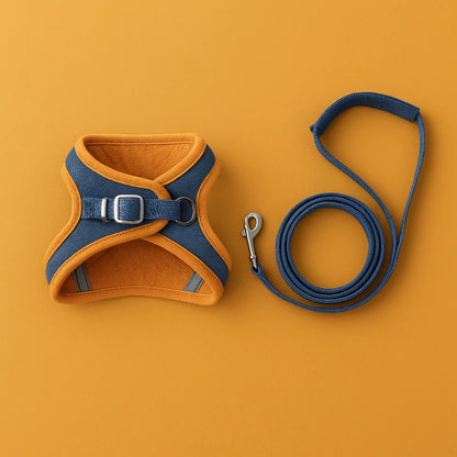 Harnais Harnasûr orange et bleu avec laisse