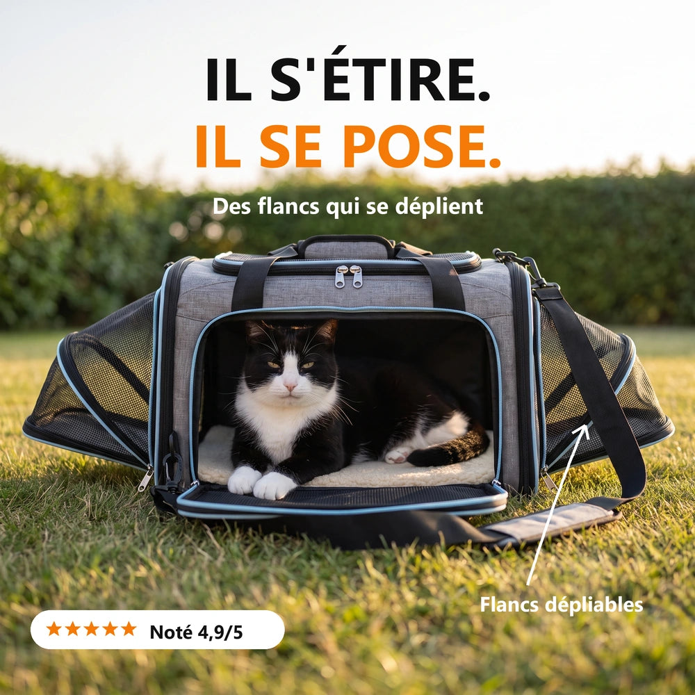 Sac déplié dans l'herbe, chat installé à l'intérieur