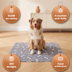EduPropre™ - Tapis Éducateur Lavable
