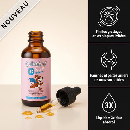 Flacon Zevlo Collagène Liquide Premium et ses trois bénéfices : moins de grattages, hanches solides, absorption 3x
