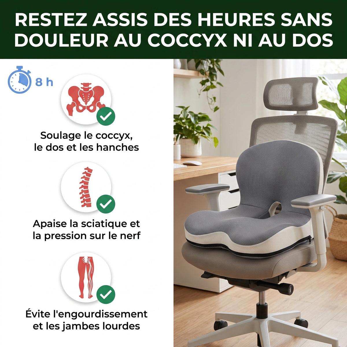 Coussin Orthopédique Zevlo Pro™