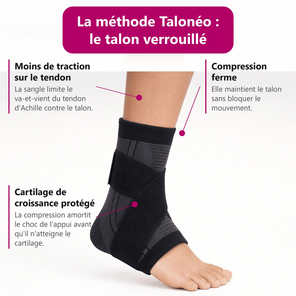 Les mécanismes de maintien du talon
