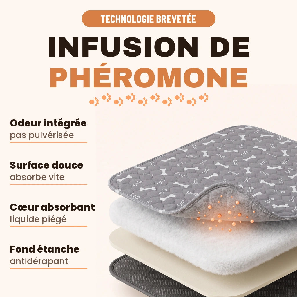 EduPropre™ - Tapis Éducateur Lavable