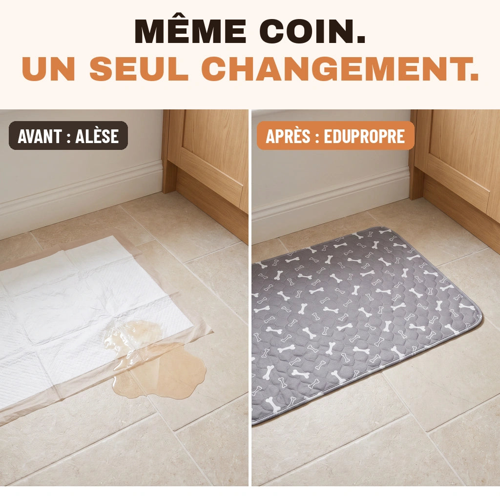 EduPropre™ - Tapis Éducateur Lavable
