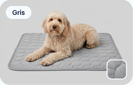 Cool'Pattes™ Tapis Rafraichissant