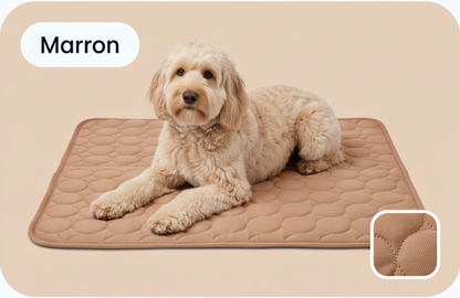 Cool'Pattes™ Tapis Rafraichissant