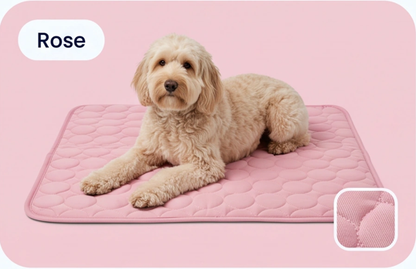 Cool'Pattes™ Tapis Rafraichissant