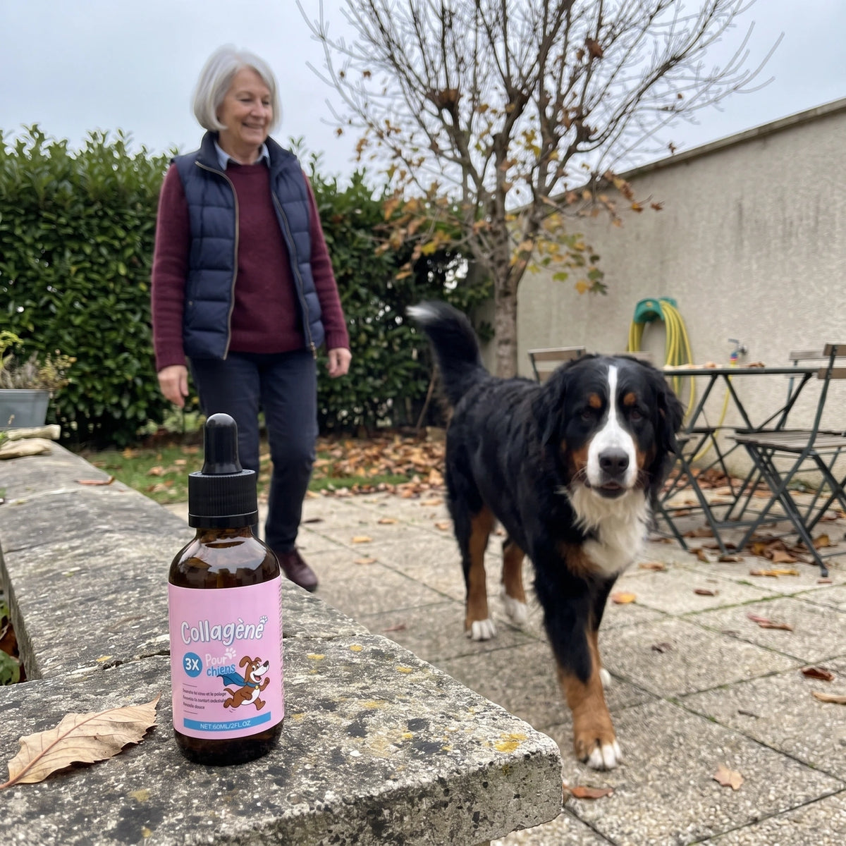 Le flacon Zevlo posé sur un muret, un chien qui marche à l'aise dans le jardin