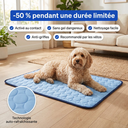 Cool'Pattes™ Tapis Rafraichissant