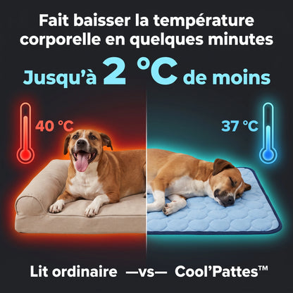 Cool'Pattes™ Tapis Rafraichissant