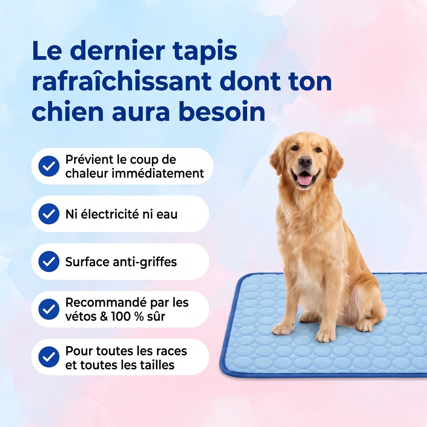 Cool'Pattes™ Tapis Rafraichissant