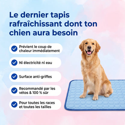 Cool'Pattes™ Tapis Rafraichissant