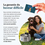 Zevlo Dog Pure™