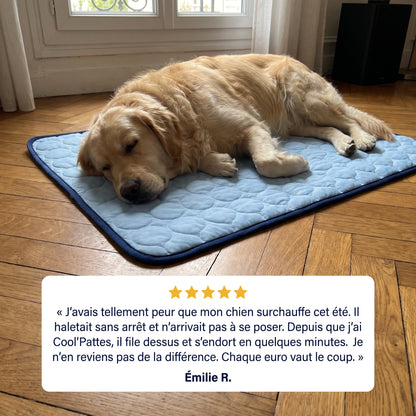 Cool'Pattes™ Tapis Rafraichissant